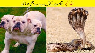 لاکھوں میں ایک | Unbelievable: The Animal You'll Only See Once in a Thousand Years!