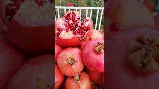 How to store pomegranate for a long time? #pomegranatefruit #asmr