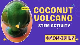 Coconut Volcano Experiment/ STEM activity for kids/ Science project for kids/ DIY volcano #stem #diy