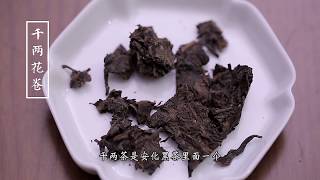 [茶香记·生活家] 黑茶合集丨黑茶入门级的导师