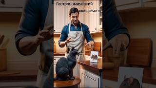 Неожиданный гастрономический эксперимент! 😺 #приколы #кризис #гурман #смешно #юмор #шутки #истории