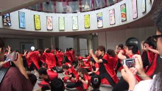 五月祭　教育科学　2013　ソーラン節