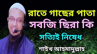 রাতে গাছের পাতা ছেঁড়া যাবে কি | শাইখ আহমাদুল্লাহ | bangla waz | শাইখ আহমাদুল্লাহ ওয়াজ