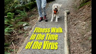 Fitness Walk in the Time of the Virus