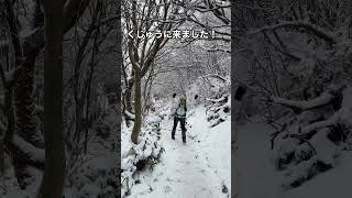 初めての雪山🏔❄️くじゅうに来ました！今年はありがとうございました⛰✨