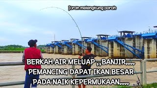 BERKAH AIR MELUAP,, BANYAK IKAN BESAR NAIK KEPERMUKAAN,,, MANCING GARONG/ SENGGET DI PINTU AIR