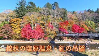 [4K] 錦秋の塩原温泉・紅の吊橋 ～2024年11月11日撮影～ : 日光国立公園那須エリア