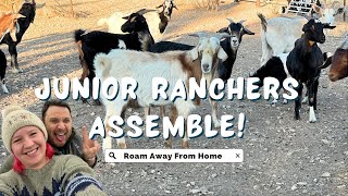 Solo ranch day in West Texas feeding the animals | Daily Vlog 13