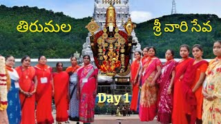 తిరుమల శ్రీ వారి సేవ 🙏|| Tirumala sri vari seva| Day 1