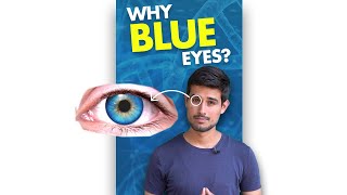 The Secret behind Blue Eye Color!