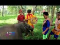 [FULL] PISANG PILIHAN ANAK GAJAH TERSAYANG | SI BOLANG (12/02/24)