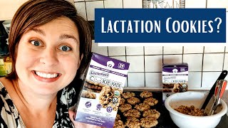 Lactation Cookies - DO THEY WORK? Check out this easy lactation cookie mix!