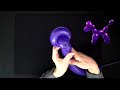 poodle dog balloon animals for beginners