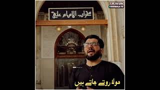 Mola Rotay Jatay Hain_Mir Hasan Mir New Noha Imam Ali as Lyrics Status By KarbaLa 72#shorts