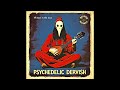 psychedelic dervish 19 days in the cave full album