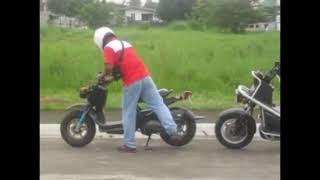 Honda Zoomer 50 and Honda Ps250