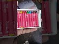 camel wax crayons 10 shades