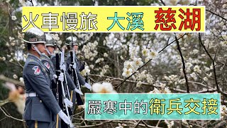 火車慢旅 桃園 大溪慈湖ep186『大溪慈湖的梅花也很美,還能欣賞「火舞」表演,再到慈園陵寢觀看莊嚴的「衛兵交接」儀式』角板山之旅下篇