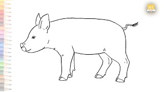 Young healthy pig drawing | How to draw A Young pig drawing step by step | Pig drawing tutorials
