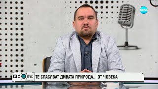 Петков за умрелите над 1000 птици: Малшанс, че колонията е била близо до Копривщица