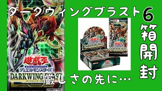 【遊戯王】ダークウィングブラスト6箱開封！事件起きた…