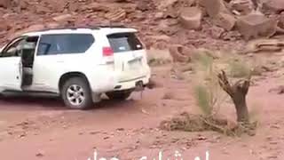 لو شاري حطب ١٥ ريال ههههههه