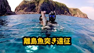 #9離島遠征🐟魚突き　初魚種、初サイズ【ワニゴチ】