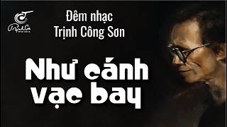 ĐÊM TRỊNH CÔNG SƠN: NHƯ CÁNH VẠC BAY