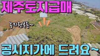 NO.62 제주도 토지급매 공시지가에 드려요~ 농지원부용\u0026투자지로 추천해 드리는 서귀포시 강정동 제주올레길 7코스 해안도로300m 떨어진 맹지급매