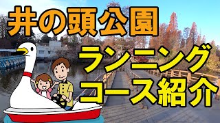 井の頭公園のランニングコース紹介！1周1.5キロでアップダウンは1箇所しかないので、初心者におすすめです。