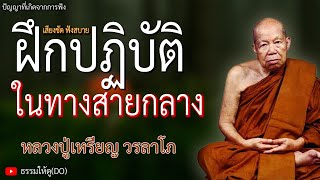 วิธีฝึกปฏิบัติ ในทางสายกลาง | ฟังเทศน์หลวงปู่เหรียญ วรลาโภ #พระวัดป่า #ธรรมะสอนใจ #หลวงปู่เหรียญ