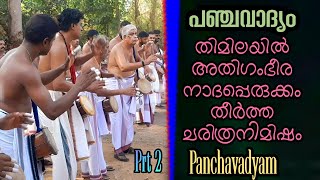 Panchavadyam | തിമിലയിൽ മധുരനാദം തീർത്ത് പരയ്ക്കാട് തങ്കപ്പൻ മാരാർ ടീം | Kerala manual | Viral Cuts