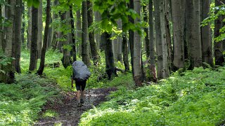 Beskid Niski - Lipiec 2020