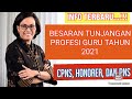 INFO BESARAN TUNJANGAN PROFESI GURU (TPG) TAHUN 2021