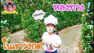 น้องอชิ หลงทางในเขาวงกต!! Ep.2 จะหาทางออกเจอไหมน๊า? | Maze Tree | achi show |อชิโชว์