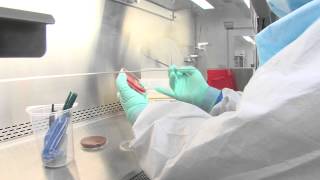 Texas Tech New BSL-3 Lab Provides More Opportunities