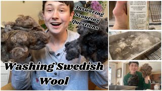 Wool Washing Day: Swedish Värmland, Swedish Helsinge \u0026 US Shetland | WtG Ep 18 |