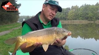 Karpfenangeln - Der kurze Weg zum Karpfen - Mit der Matchrute auf Karpfen