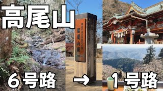 【高尾山】冬の高尾山・６号路〜１号路