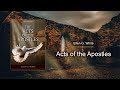 AA-54 - A Faithful Witness (The Acts of the Apostles) with text