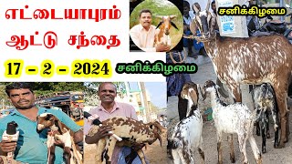 17 - 2 - 2024 / எட்டையாபுரம் ஆட்டு சந்தை / சனிக்கிழமை / Ettayapuram / @tamilvivasayi