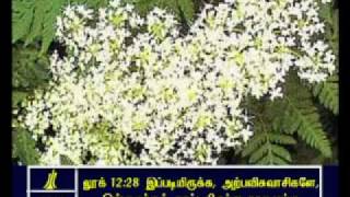 Luke - 12  Tamil Picture Bible - Full