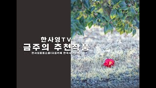 2023.03.27/한사영TV 금주의 추천작품/몽골사진여행/베트남사진여행/한사영포토스쿨