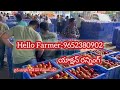 16 september 2024 today kolar tomato rates today tomato market prices today tomato price