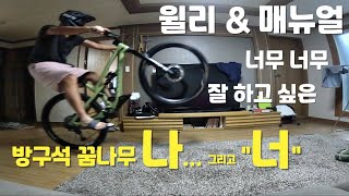 MTB 윌리와 매뉴얼의 차이점 / 어느 순간에 윌리가 잘 되는 순간이 나에게 왔다.... / mtb manual \u0026 wheelie