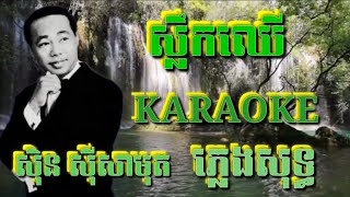 ស្លឹកឈើ ( ភ្លេងសុទ្ធ ) Karaoke Sing Along