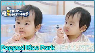 Can you find it Baby Seo Yoon?  l The Return of Superman Ep 418 [ENG SUB]