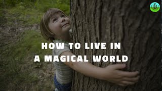 How To Live In A Magical World