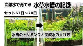 水草水槽の炭酸水の入れ方とトリミングの動画