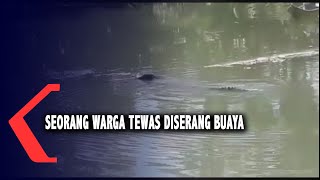 Seorang Warga Tewas Diserang Buaya